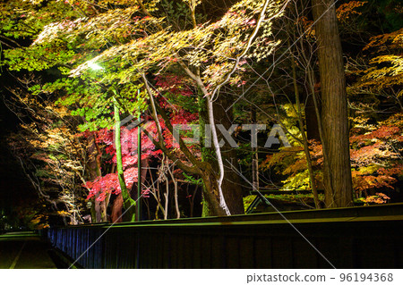 Beautiful autumn leaves Kakunodate Bukeyashiki illuminated at night 96194368