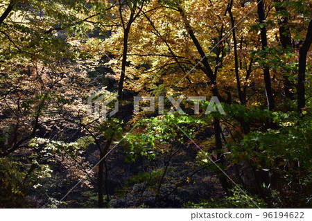 東北宮城縣仙台市日華威士忌宮城峽酒廠的作浪溫泉、後明48瀑布、日華威士忌宮城峽酒廠 96194622