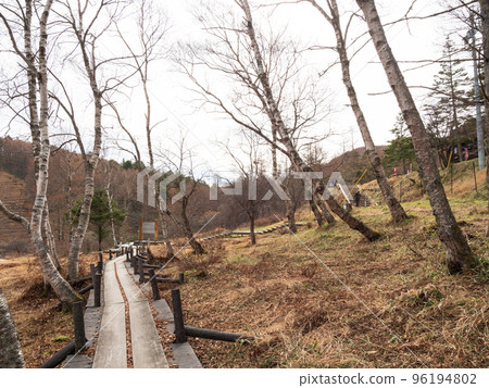 Scenery on a plateau in late autumn (Nyukasa Wetland, Fujimi Town, Nagano Prefecture) 96194802