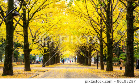 東京Koharagaoka公園秋葉 96195287