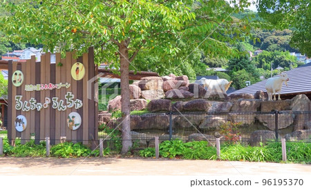 [Yamaguchi Prefecture] Shunan City Tokuyama Zoo Run Cha Run Cha 96195370