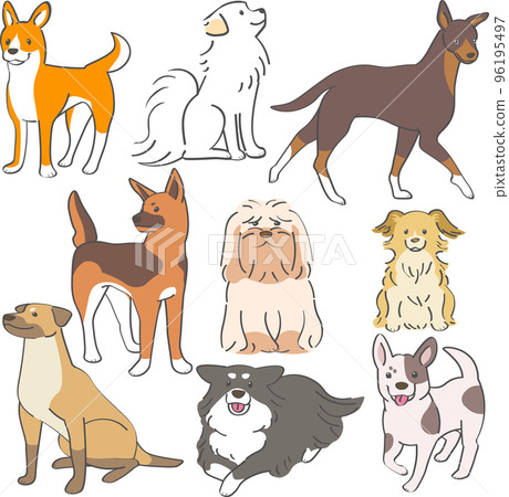 A set of long-haired and short-haired mixed breed adult dogs 96195497