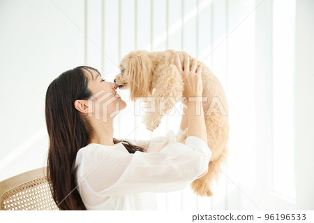 Living with dogs 96196533