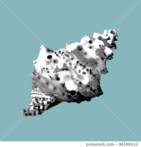 Graphic engraving of a seashell.Realistic shells illustration. Graphic engraving of a seashell.Realistic shells illustration. 96196810