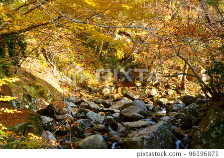 Scenery of Ashizu Valley in autumn colors 96196871