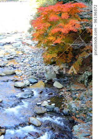 秋色的蘆津溪谷風景 96196872