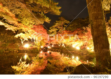 Yahiko Park maple valley light up 96197290