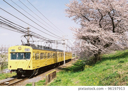 秩父本線春天的秩父鐵道1000系列 96197913