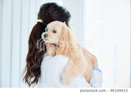 female veterinarian 96199425