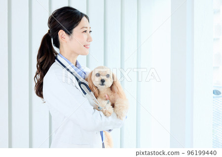 female veterinarian female veterinarian 96199440