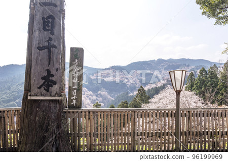 Mount Yoshino's Thousand Cherry Trees, Hitome Thousand Cherry Trees, Japan's number one cherry blossom viewing spot, Yoshimizu Shrine, a World Heritage tourist destination, Nara tourist spot 96199969