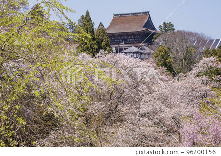 吉野山的千本櫻、金峰山寺和櫻花,日本排名第一的賞櫻勝地,世界遺產觀光地,奈良的觀光地 吉野山的千本櫻、金峰山寺和櫻花,日本排名第一的賞櫻勝地,世界遺產觀光地,奈良的觀光地 96200156