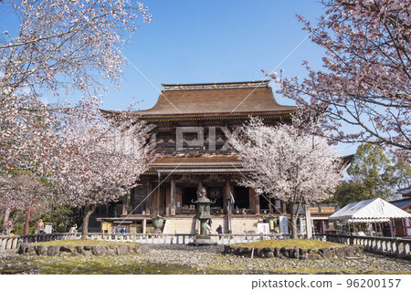 吉野山的櫻花、金風仙寺、日本第一的賞櫻勝地、世界遺產旅遊勝地、奈良的觀光景點 吉野山的櫻花、金風仙寺、日本第一的賞櫻勝地、世界遺產旅遊勝地、奈良的觀光景點 96200157