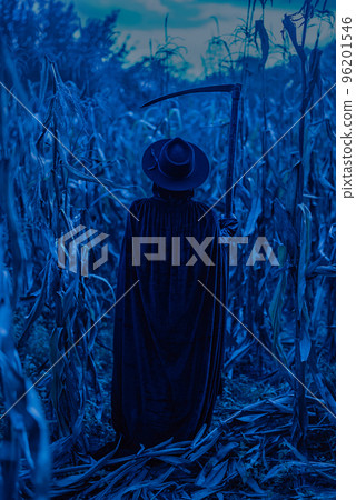 Plague doctor or death woman with sharp scythe at night in thickets of corn field. Creepy raven mask 96201546