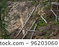 Deforestation in mountainous area, felled trees, stumps 96203060