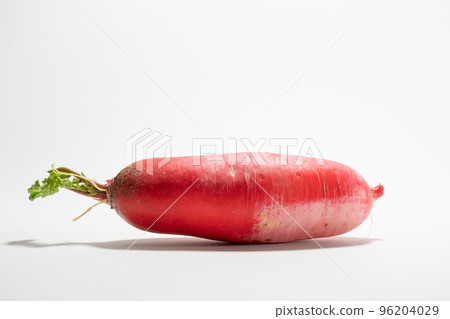 辣紅蘿蔔 96204029