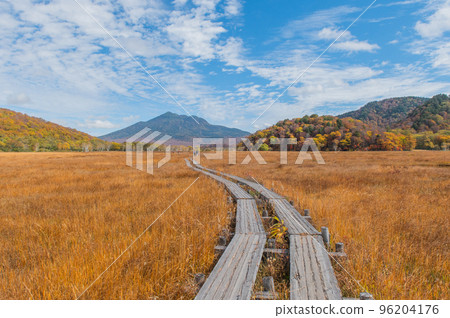 Burning autumn Oze colored with colored leaves Burning autumn Oze colored with colored leaves 96204176