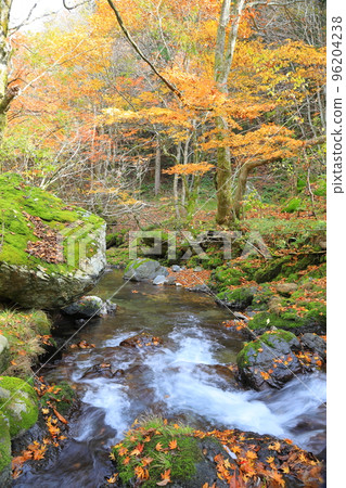 Autumn on the Hida Seseragi Highway 96204238
