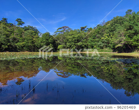 山中的池塘② 山中的池塘② 96205469