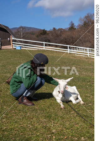 Yamanashi Prefectural Makiba Park goat 96206020