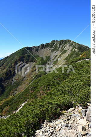 Autumn in Mt. Senjogatake in the Southern Alps 96206102