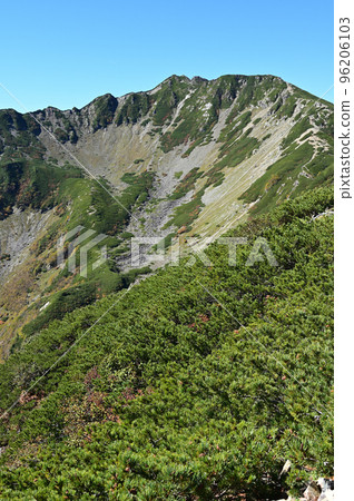 Autumn in Mt. Senjogatake in the Southern Alps Autumn in Mt. Senjogatake in the Southern Alps 96206103