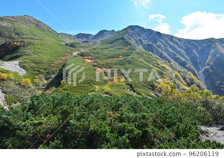 Autumn in Mt. Senjogatake in the Southern Alps 96206119