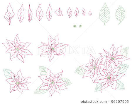 一品紅插圖集(彩線圖) 一品紅插圖集(彩線圖) 96207905