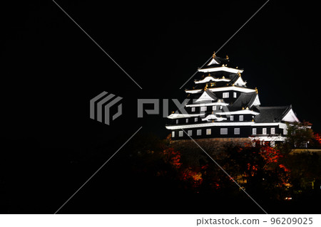 2318 岡山城 96209025