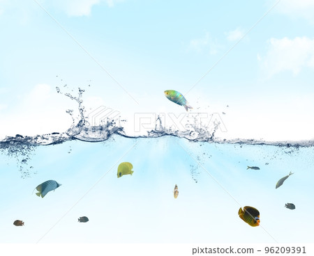 Tropical life Tropical life 96209391