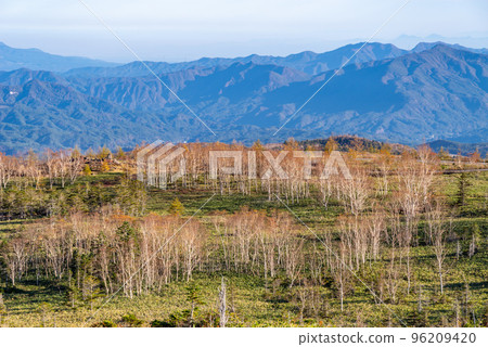 Shiga Kusatsu Kogen Route Forest spreading over Mt. Aoba and the mountain range below Late October c-1 Shiga Kusatsu Kogen Route Forest spreading over Mt. Aoba and the mountain range below Late October c-1 96209420