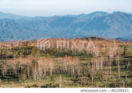 Shiga Kusatsu Kogen route Forest spreading over Mt. Aoba and the mountain range below Late October c-2 Cool color Shiga Kusatsu Kogen route Forest spreading over Mt. Aoba and the mountain range below Late October c-2 Cool color 96209421