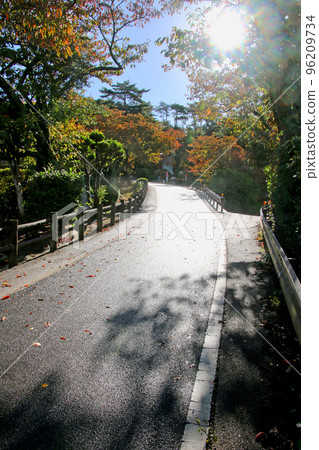 Slope leading to Shoin Yoshida's birthplace (Hagi City, Yamaguchi Prefecture) 96209734