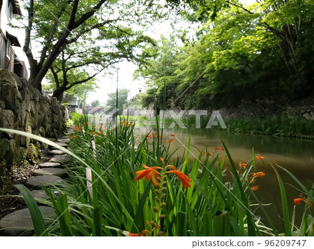 Rivers and flowers 96209747