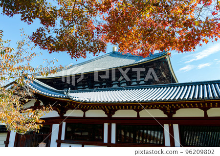 東大寺大佛殿周圍的紅葉 穿過走廊從南側看到的大佛殿周圍的紅葉 96209802