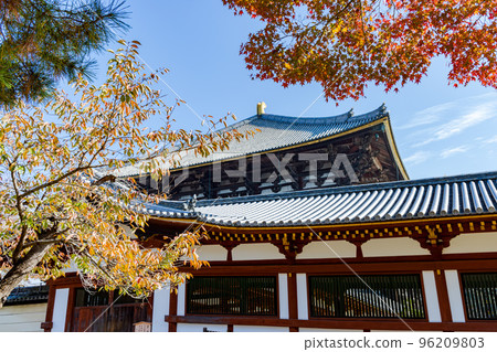 Autumn foliage around the Great Buddha Hall of Todaiji Temple View from the south side of the Great Buddha Hall and the autumn foliage and pine trees surrounding the Great Buddha Hall across the corridor 96209803
