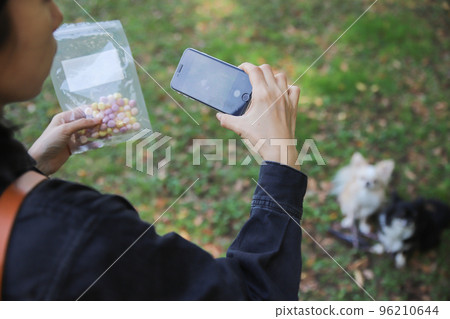 Owner taking a picture of his dog with a smartphone and his model long coat Chihuahua Owner taking a picture of his dog with a smartphone and his model long coat Chihuahua 96210644
