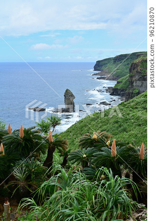 與那國島/ Tategami岩石 與那國島/ Tategami岩石 96210870