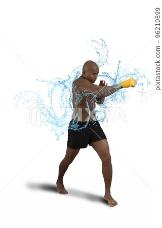 Attack of a boxer 96210899