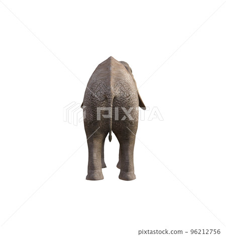 Illustration of an elephant in different poses and angles for collage or clip art. Pose number 1 isolated on white background. 3D rendering illustration. Illustration of an elephant in different poses and angles for collage or clip art. Pose number 1 isolated on white background. 3D rendering illustration. 96212756