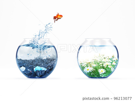 Improvement and moving concept with a goldfish jumping from a dirty aquarium to a clean one 96213077