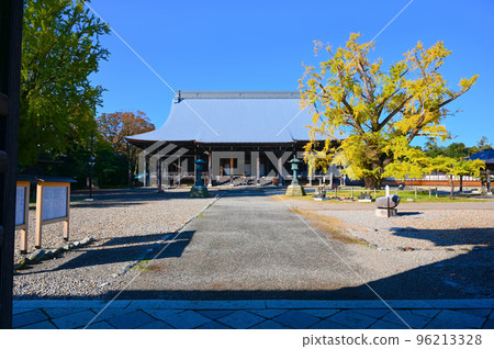 正光寺正殿 不結果的銀杏樹 高岡市 正光寺正殿 不結果的銀杏樹 高岡市 96213328