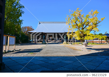 正光寺正殿 不結果的銀杏樹 高岡市 96213329
