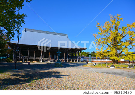 正光寺、國寶、大殿、不結果的銀杏樹、高岡市 96213480
