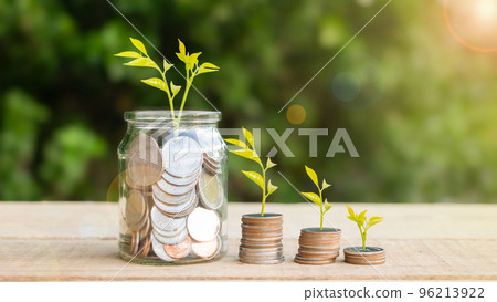 Plant growing in saving coin in glass jar placed on wooden floor and green blur background, Plant growing in saving coin in glass jar placed on wooden floor and green blur background, 96213922