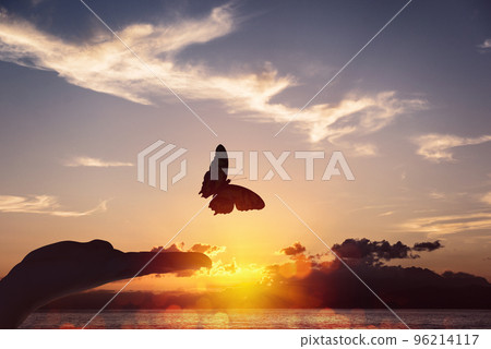 Butterfly takes flight from a human hand Butterfly takes flight from a human hand 96214117