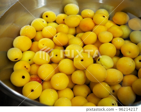 Umeboshi making / soaking in water to remove harshness from ume 96214217