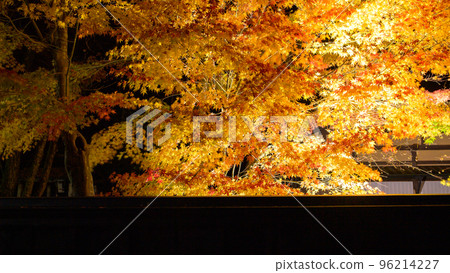 Beautiful autumn leaves Kakunodate Bukeyashiki Iwahashi family lit up at night 96214227