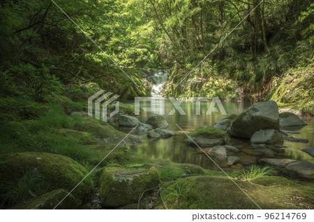 Ibaraki Prefecture Hananuki Valley Fresh green Ibaraki Prefecture Hananuki Valley Fresh green 96214769
