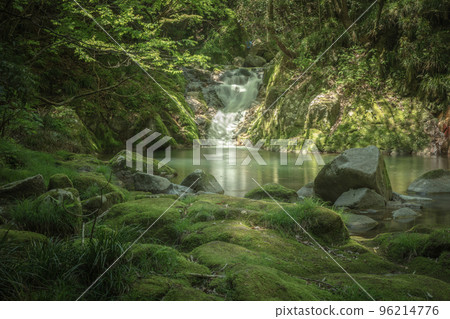 Ibaraki Prefecture Hananuki Valley Fresh green 96214776